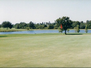 flag on golf course